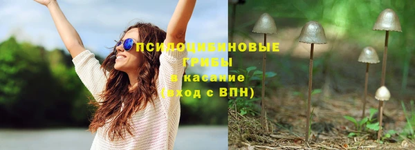 экстази Алексин