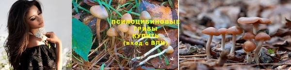 экстази Алексин