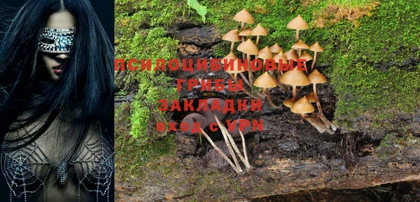 прущие крисы Алзамай