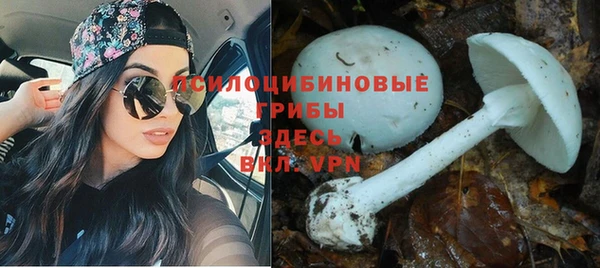 прущие крисы Алзамай