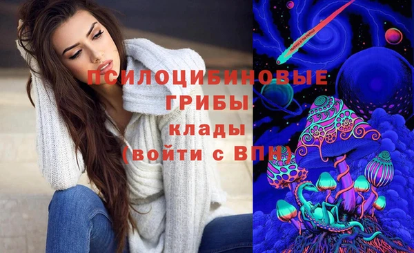 прущие крисы Алзамай