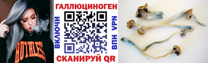 ссылка на мегу зеркало  Гвардейск  Псилоцибиновые грибы GOLDEN TEACHER 
